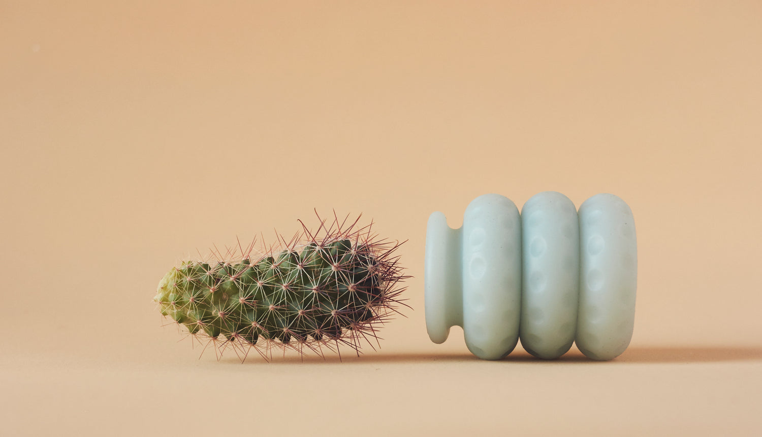 Ohnut and a cactus